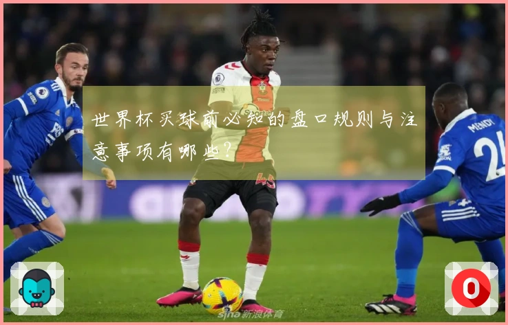 世界杯买球前必知的盘口规则与注意事项有哪些？
